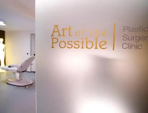 Art of the Possible