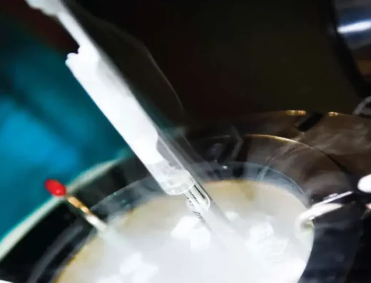 Egg Cryopreservation