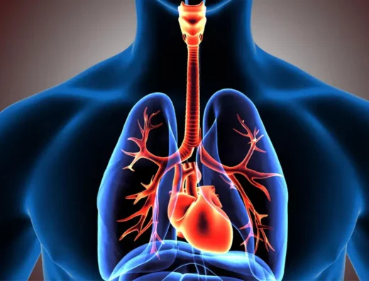 Respiratory Check-Up