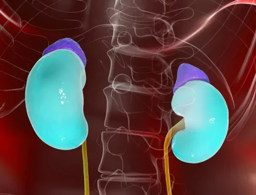 Adrenal Function Test
