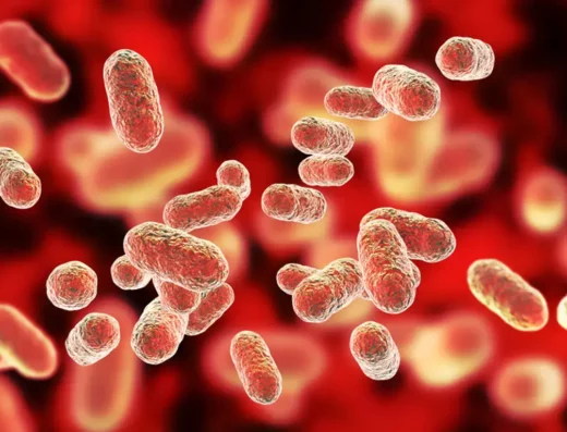 Oral Microbiome Test Analysis