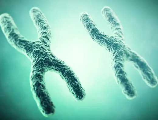 Telomere Test