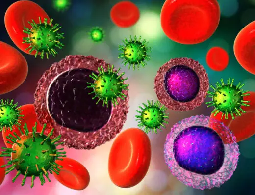 Immune System Check Up