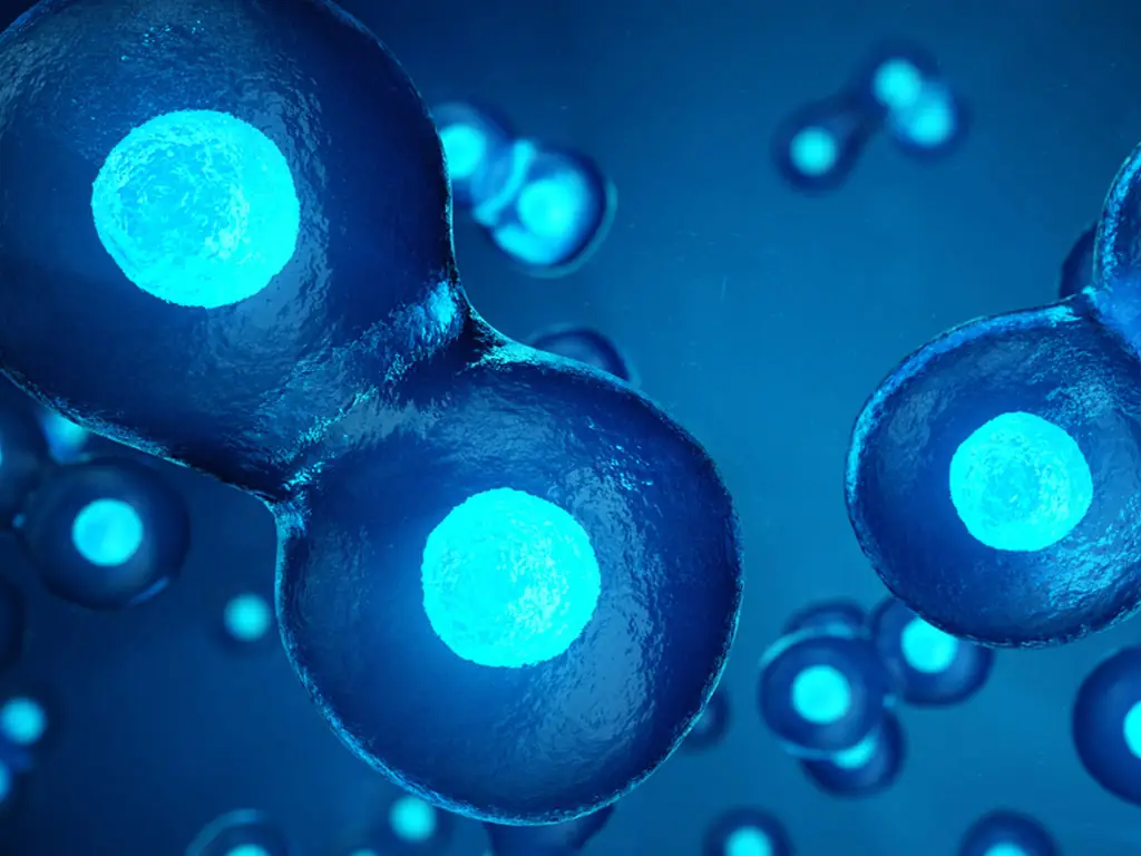 IVF treatment